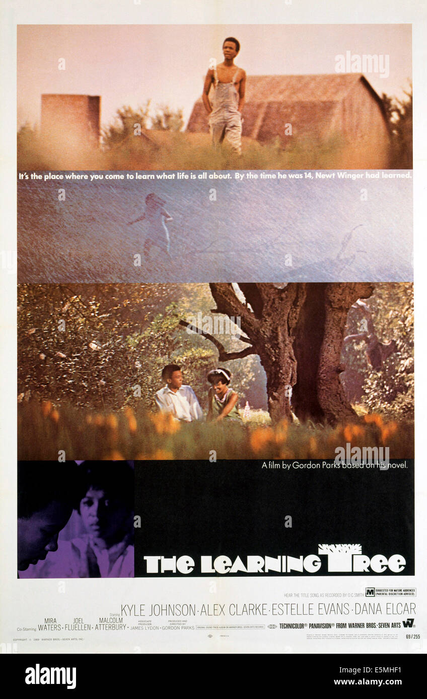 THE LEARNING TREE, 1969 Stock Photo