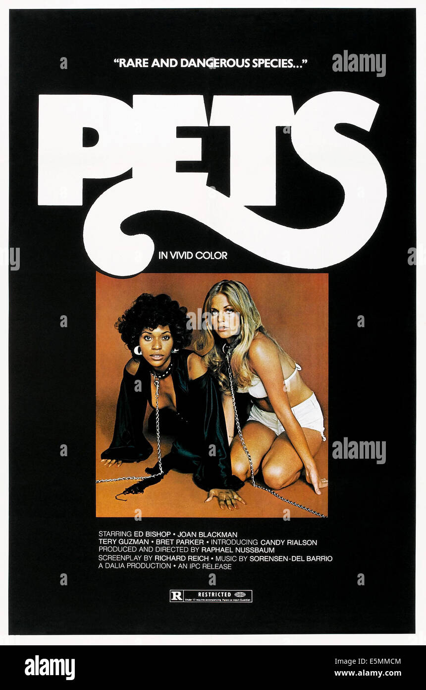 Pets 1974 hi-res stock photography and images - Alamy