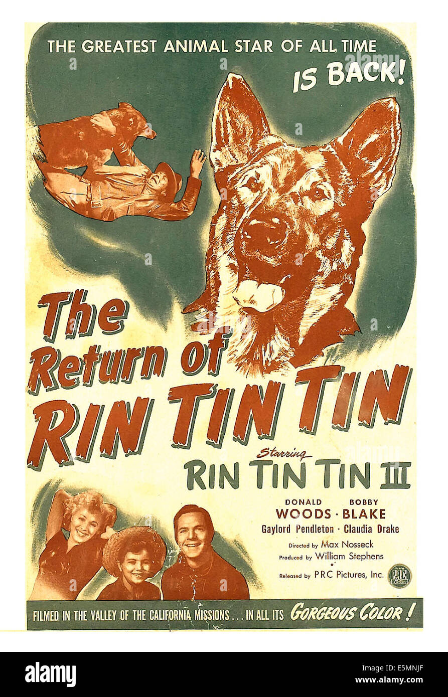 THE RETURN OF RIN TIN TIN, US poster, Rin Tin Tin III (center), bottom from left: Claudia Drake, Bobby Blake, Donald Woods, 1947 Stock Photo