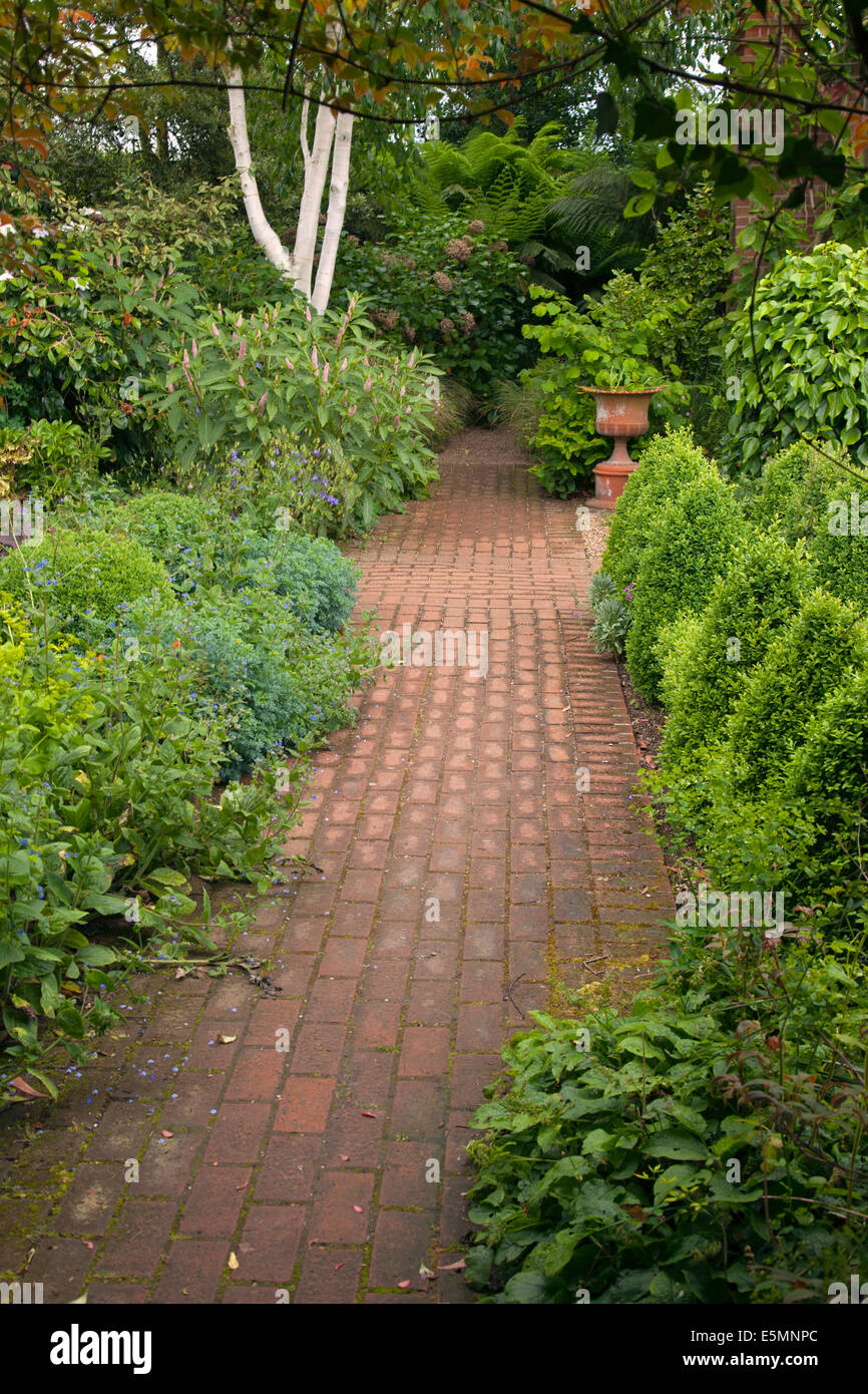 Brick path and box hedges in garden Stock Photo