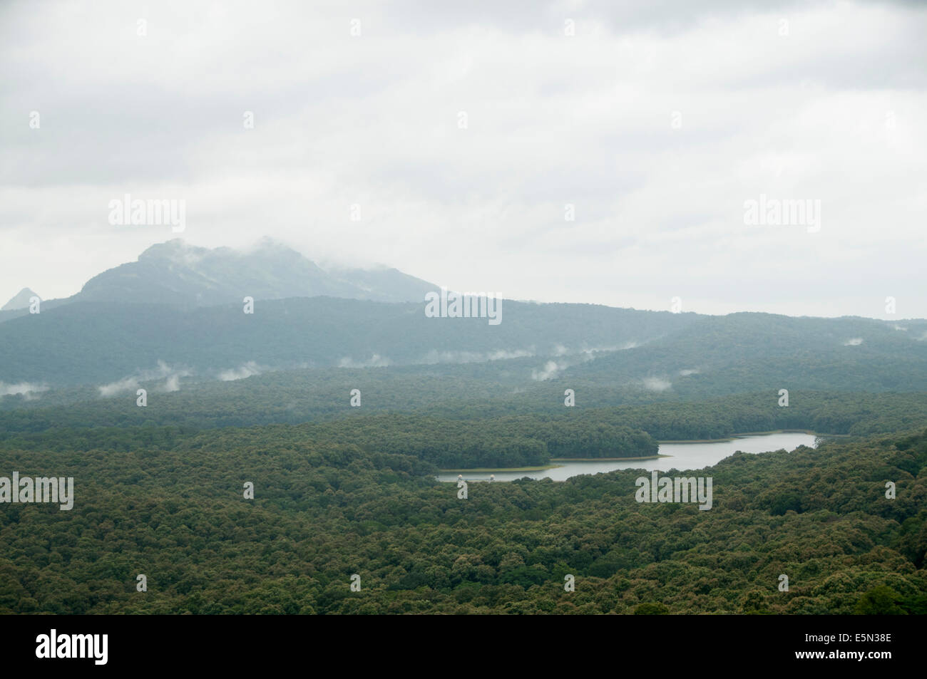 View of reservoir in forest, Parambikulam Wildlife Sanctuary Stock Photo