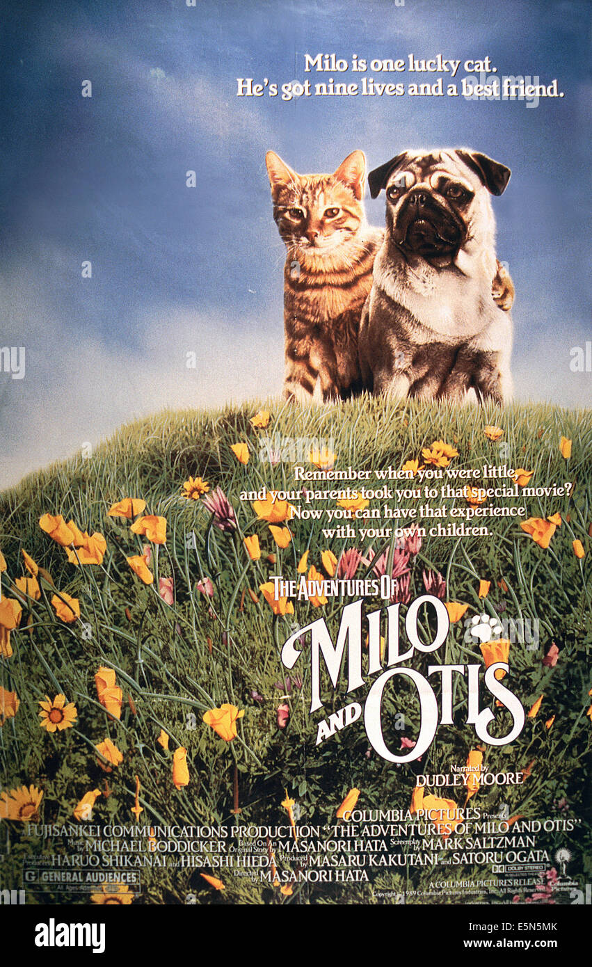 THE ADVENTURES OF MILO AND OTIS, from left: Milo, Otis, 1986, © Columbia/courtesy Everett Collection Stock Photo
