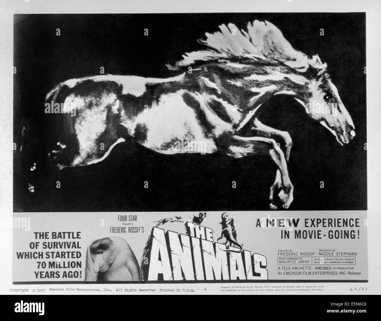 THE ANIMALS, (aka LES ANIMAUX), 1965 Stock Photo