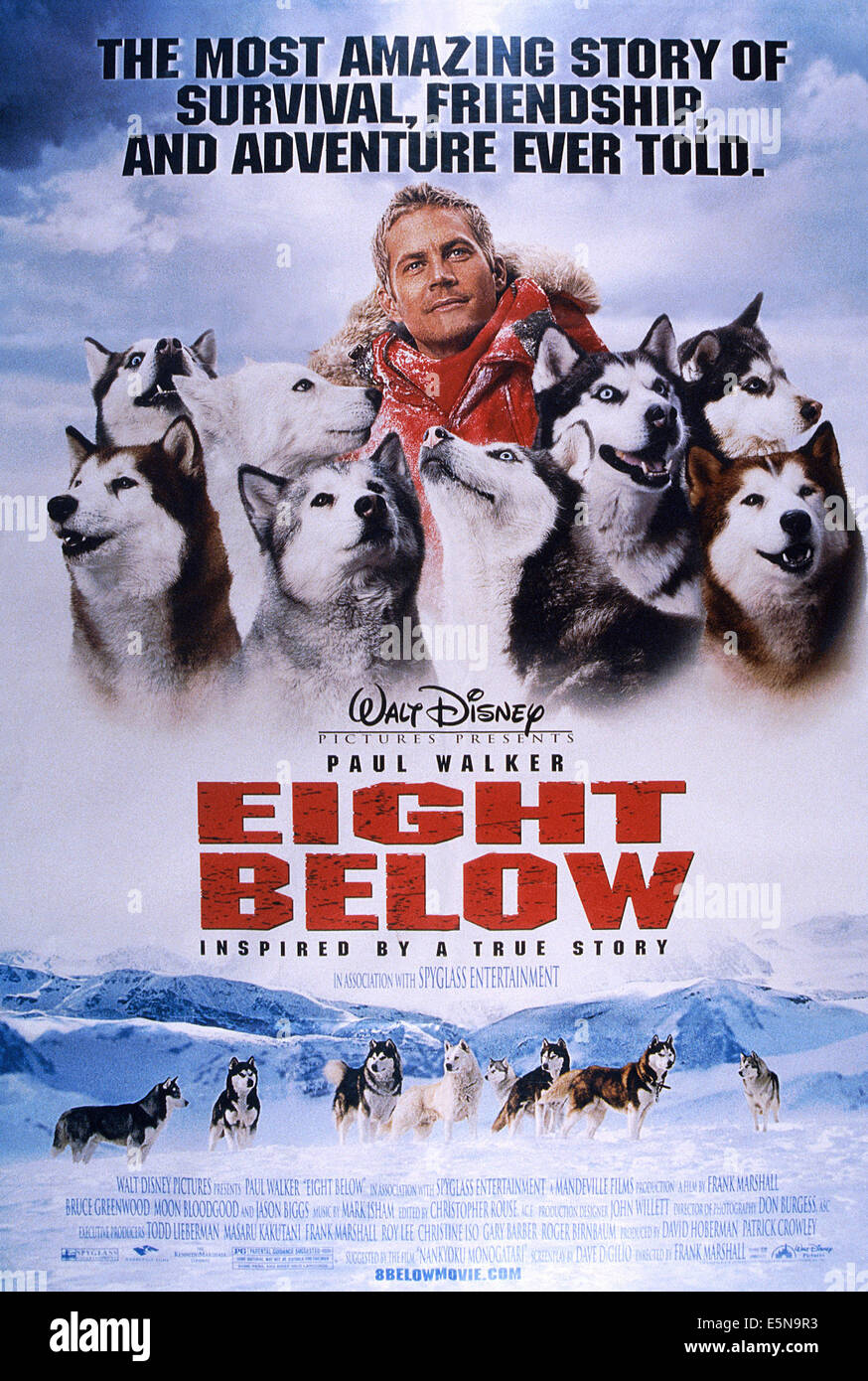Paul walker dog eight below hi-res stock photography and images - Alamy
