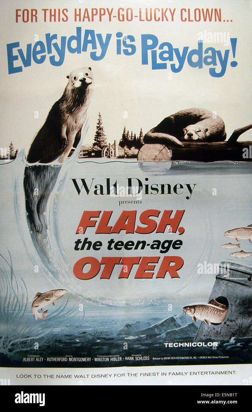 FLASH, THE TEENAGE OTTER, 1961 Stock Photo