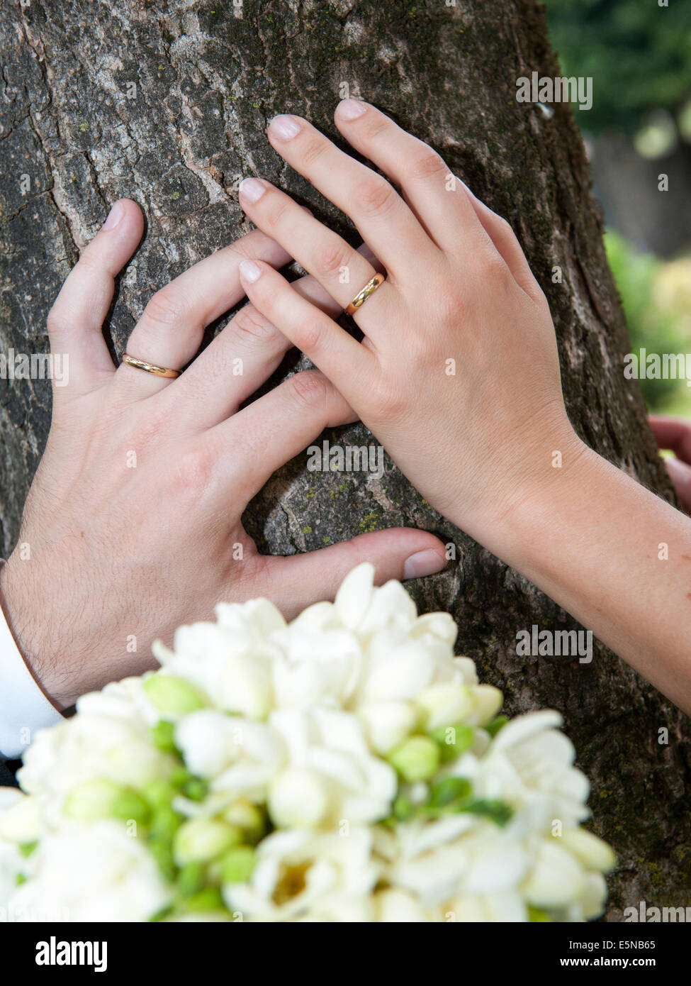 Bride and groom hands resting on a tree trunk Stock Photo - Alamy