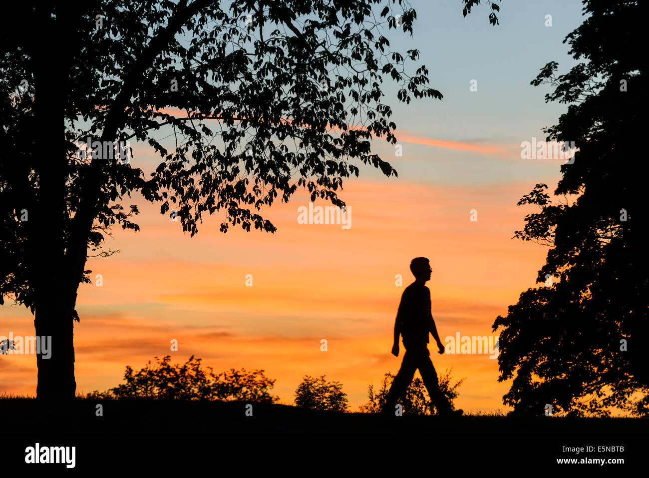 Silhouette of man walking during sunset Stock Photo - Alamy