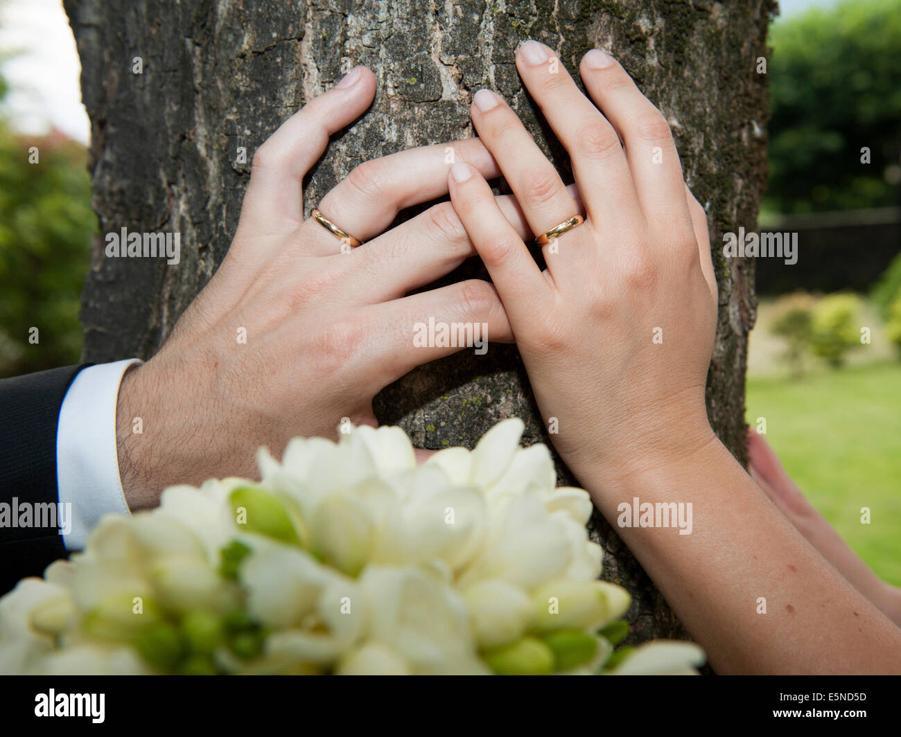 Bride and groom hands resting on a tree trunk Stock Photo - Alamy