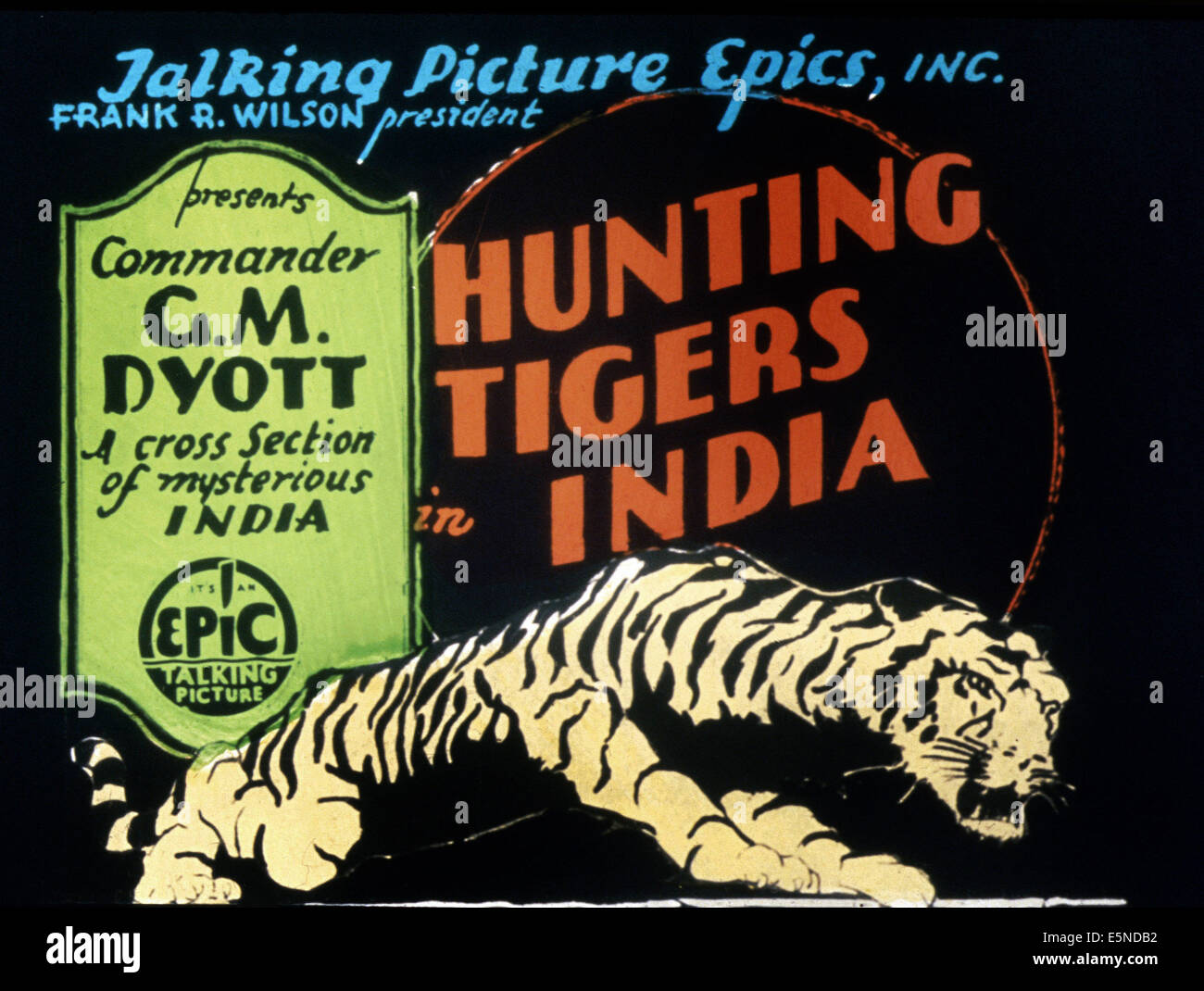 HUNTING TIGERS IN INDIA, 1929 Stock Photo Alamy