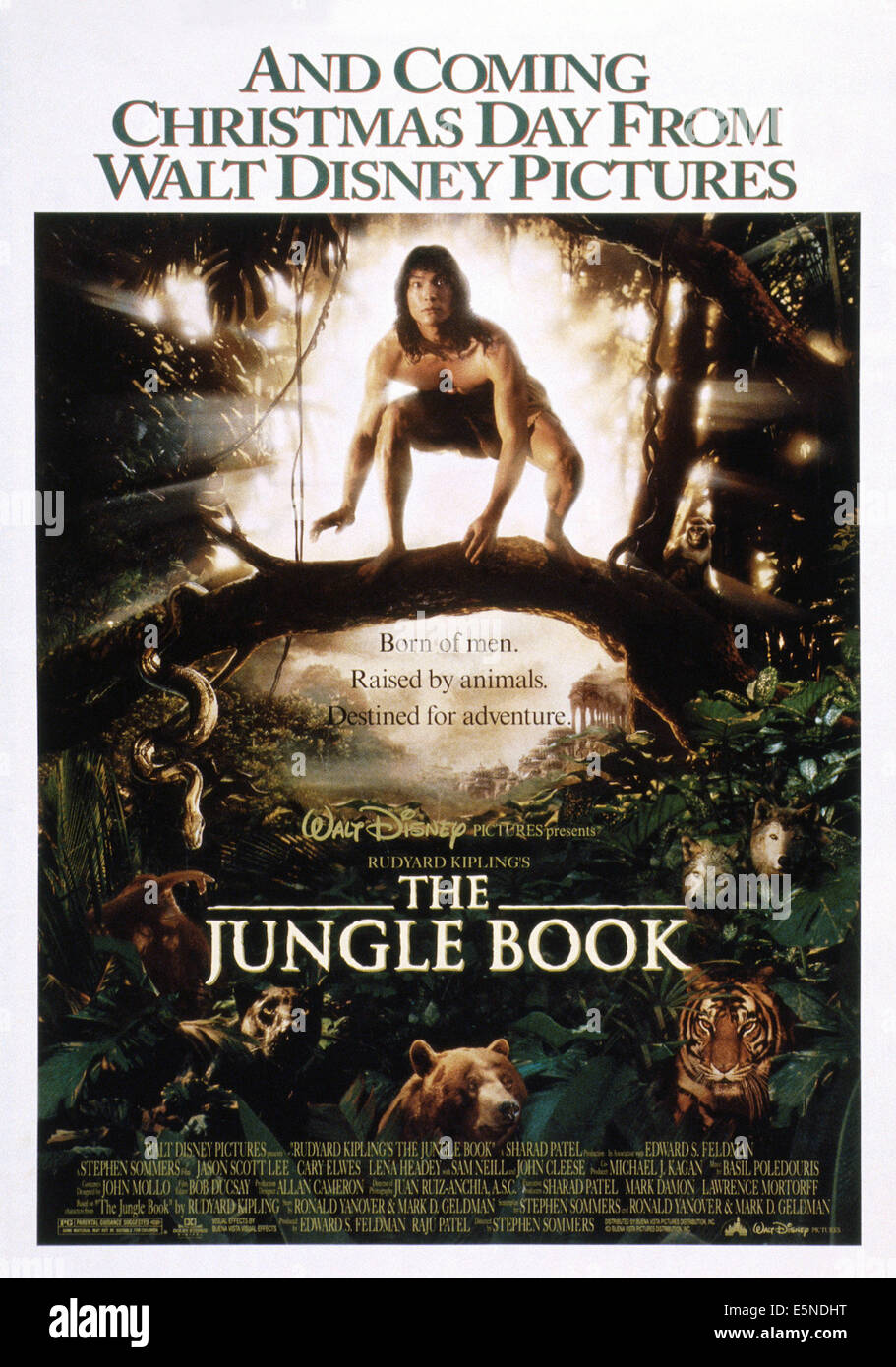 THE JUNGLE BOOK, . poster, Jason Scott Lee, 1994, ©Buena Vista/courtesy  Everett Collection Stock Photo - Alamy