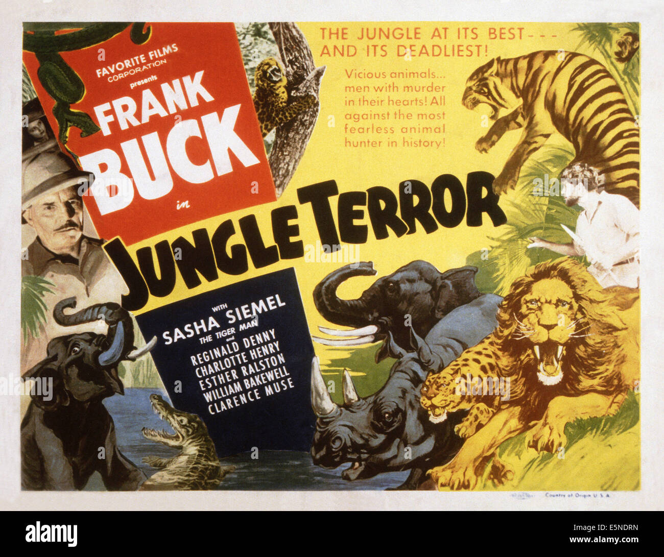 JUNGLE TERROR, Frank Buck (left), 1946 Stock Photo