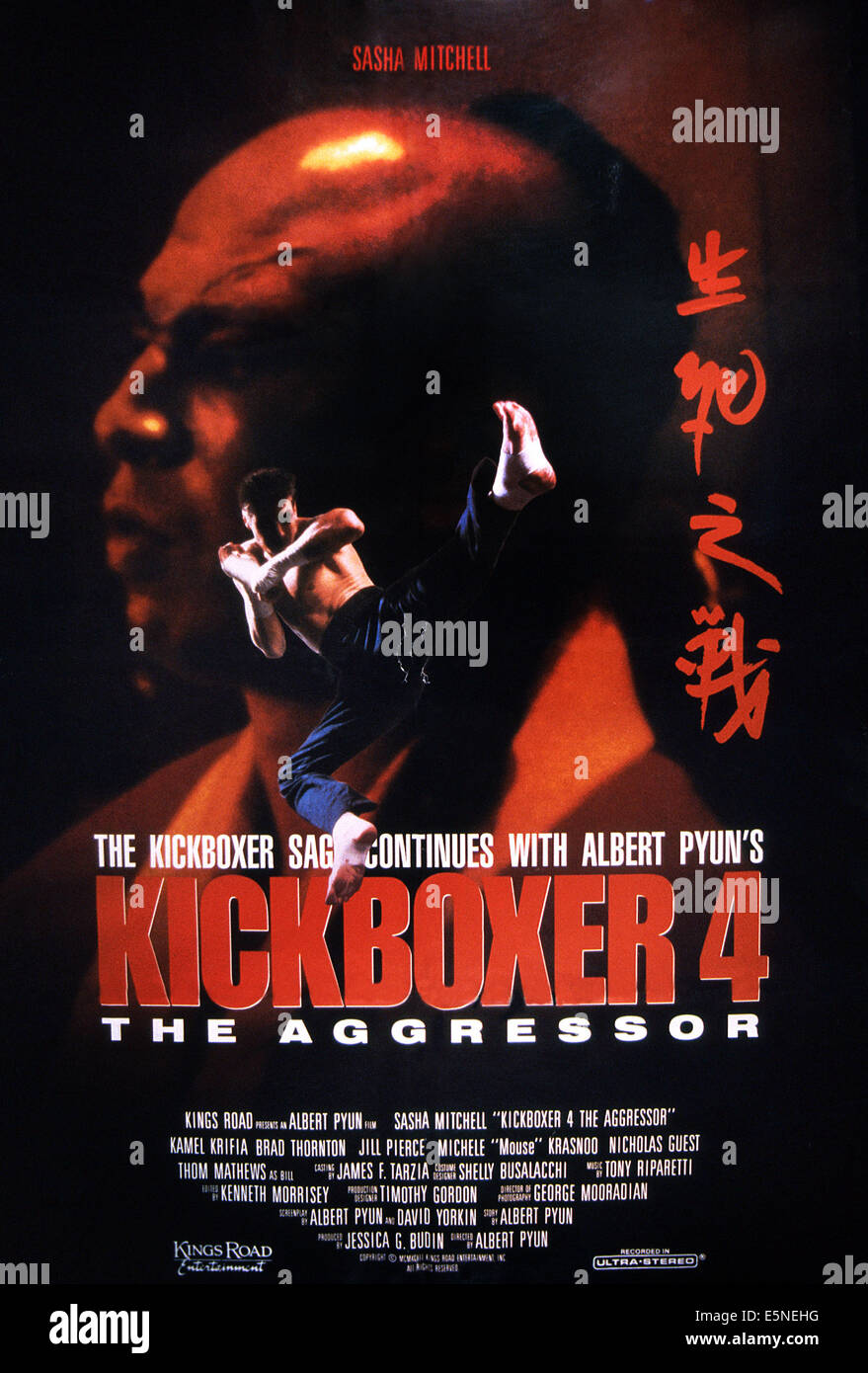 KICKBOXER 4: THE AGGRESSOR, poster, Sasha Mitchell, 1994. ©Kings Road Entertainment/courtesy Everett Collection Stock Photo