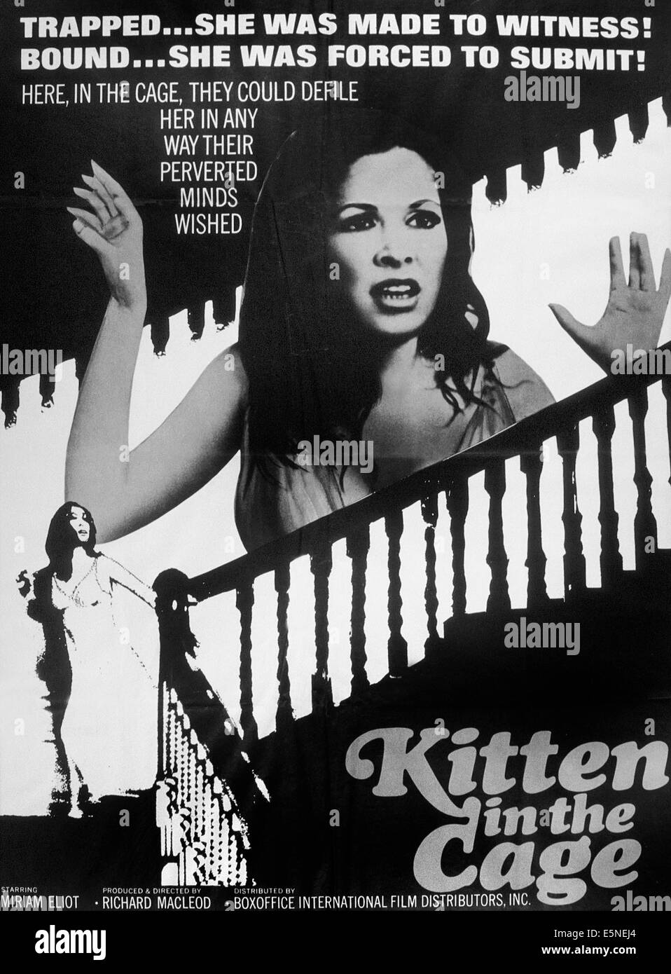 KITTEN IN A CAGE, Miriam Eliot, 1968 Stock Photo