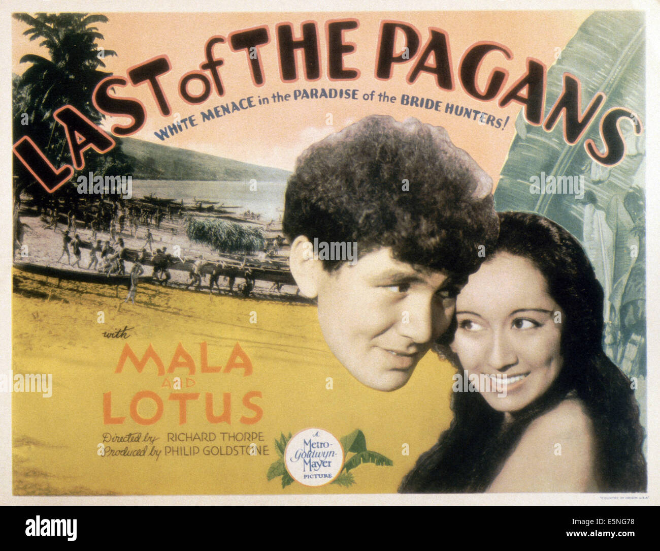 Forum on this topic: Lotus Long, lotus-long/ Communication on this topic: Katie Cassidy, lotus-long/