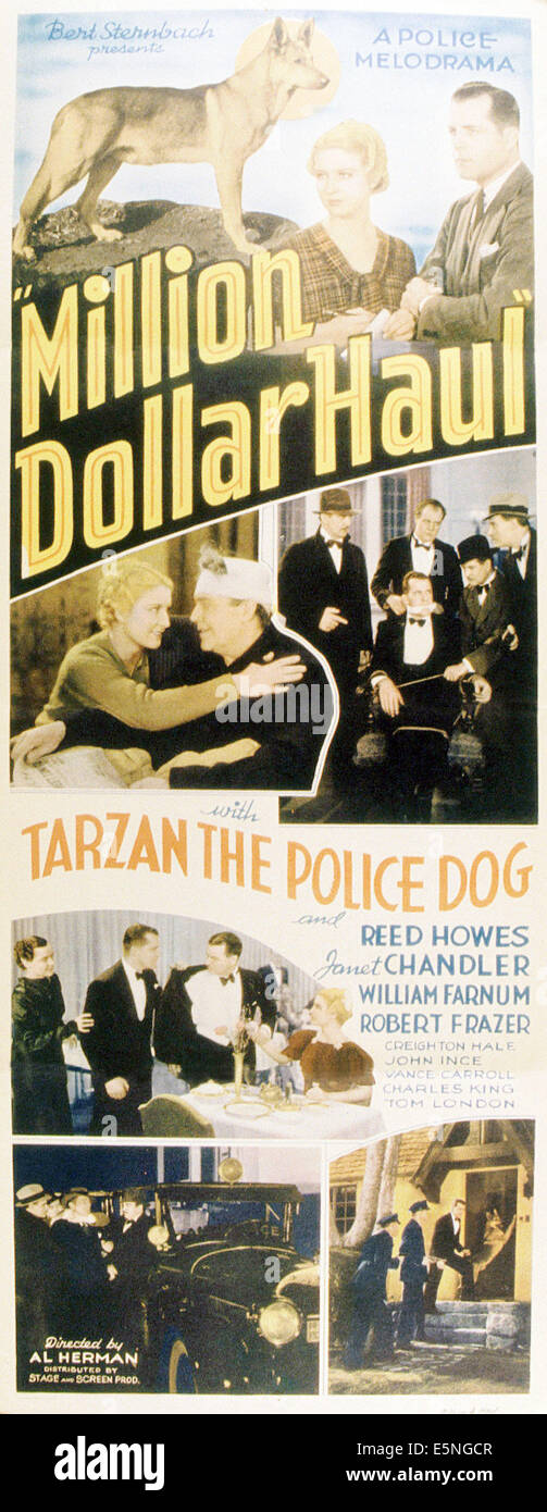 MILLION DOLLAR HAUL, top from left: Tarzan the Police Dog, Janet Chandler, Reed Howes, 1935 Stock Photo