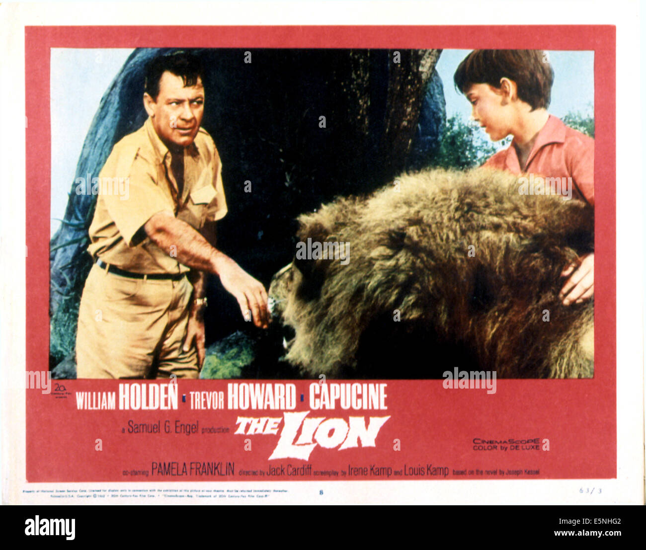 THE LION, William Holden, Pamela Franklin, Zamba the Lion, poster art, 1962. TM and Copyright © 20th Century Fox Film Corp. All Stock Photo