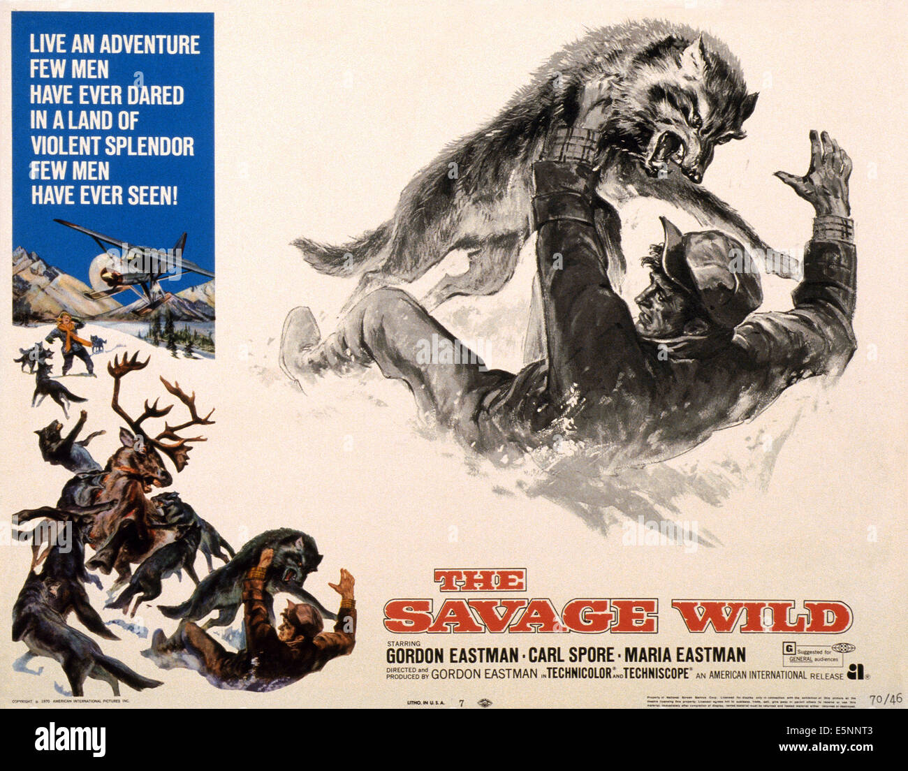 THE SAVAGE WILD, US lobbycard, 1970 Stock Photo