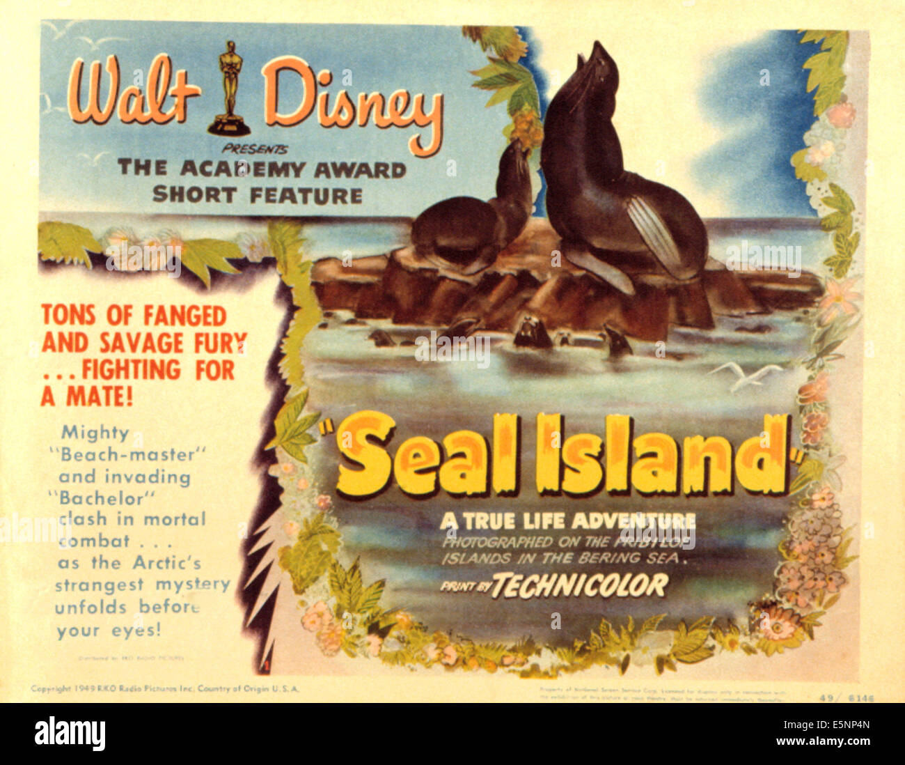 Resultado de imagem para 1948 seal islands movie