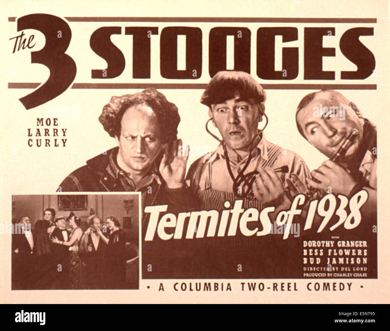 TERMITES OF 1938, Larry Fine, Moe Howard, Curly Howard (The Three Stooges), 1938 Stock Photo