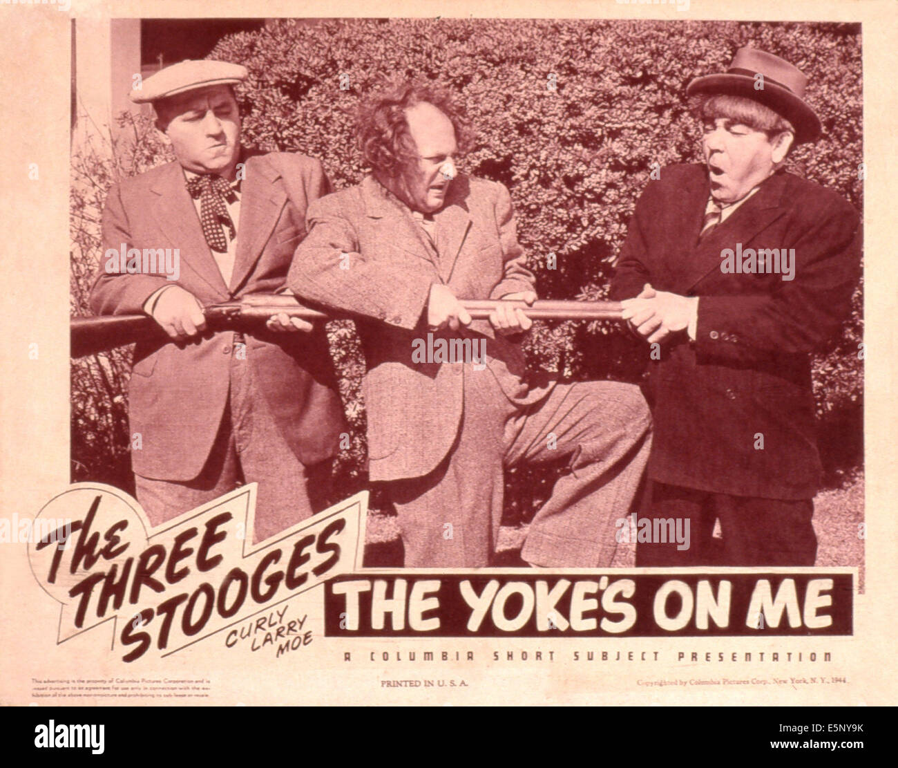 THE YOKE'S ON ME, Curly Howard, Larry Fine, Moe Howard (The Three Stooges), 1944 Stock Photo