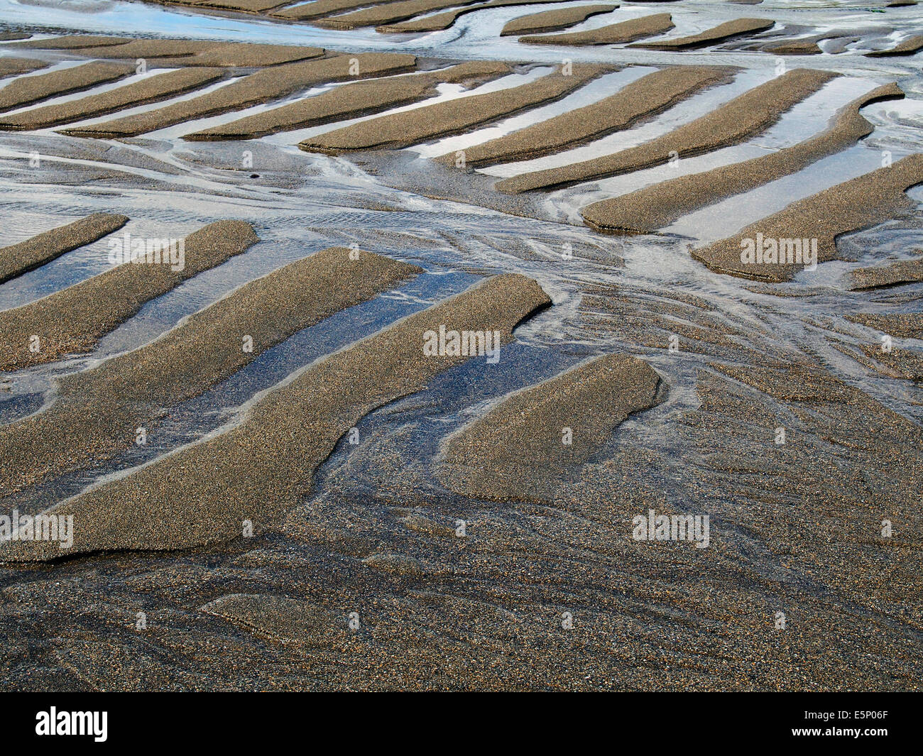 Ripples in the sand - ridges and runnels left in the sand of an Irish beach by the retreating tide. Stock Photo