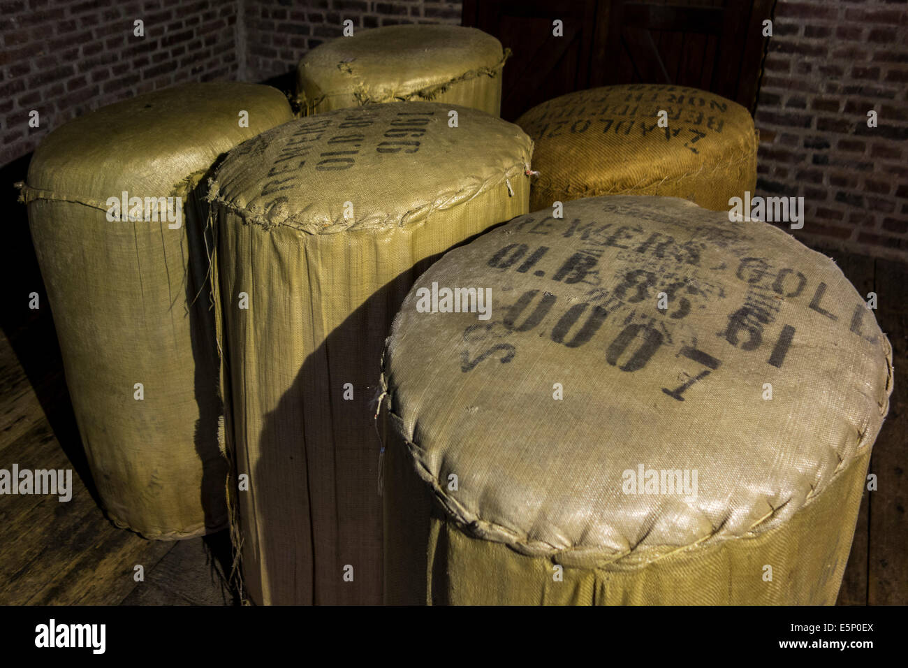 Bales with harvested hops flowers in the Hop Museum about the cultivation and uses of hops at Poperinge, West Flanders, Belgium Stock Photo