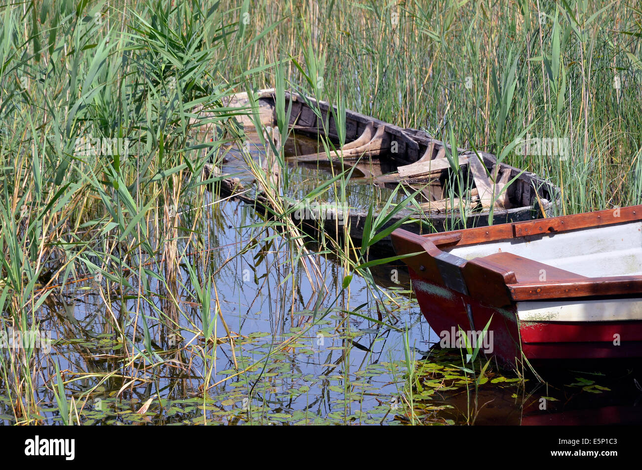 Sunken rowing boat abandoned in the reeds at Lisloughery Pier, Cong on the shores of Lough Corrib, Ireland. Stock Photo