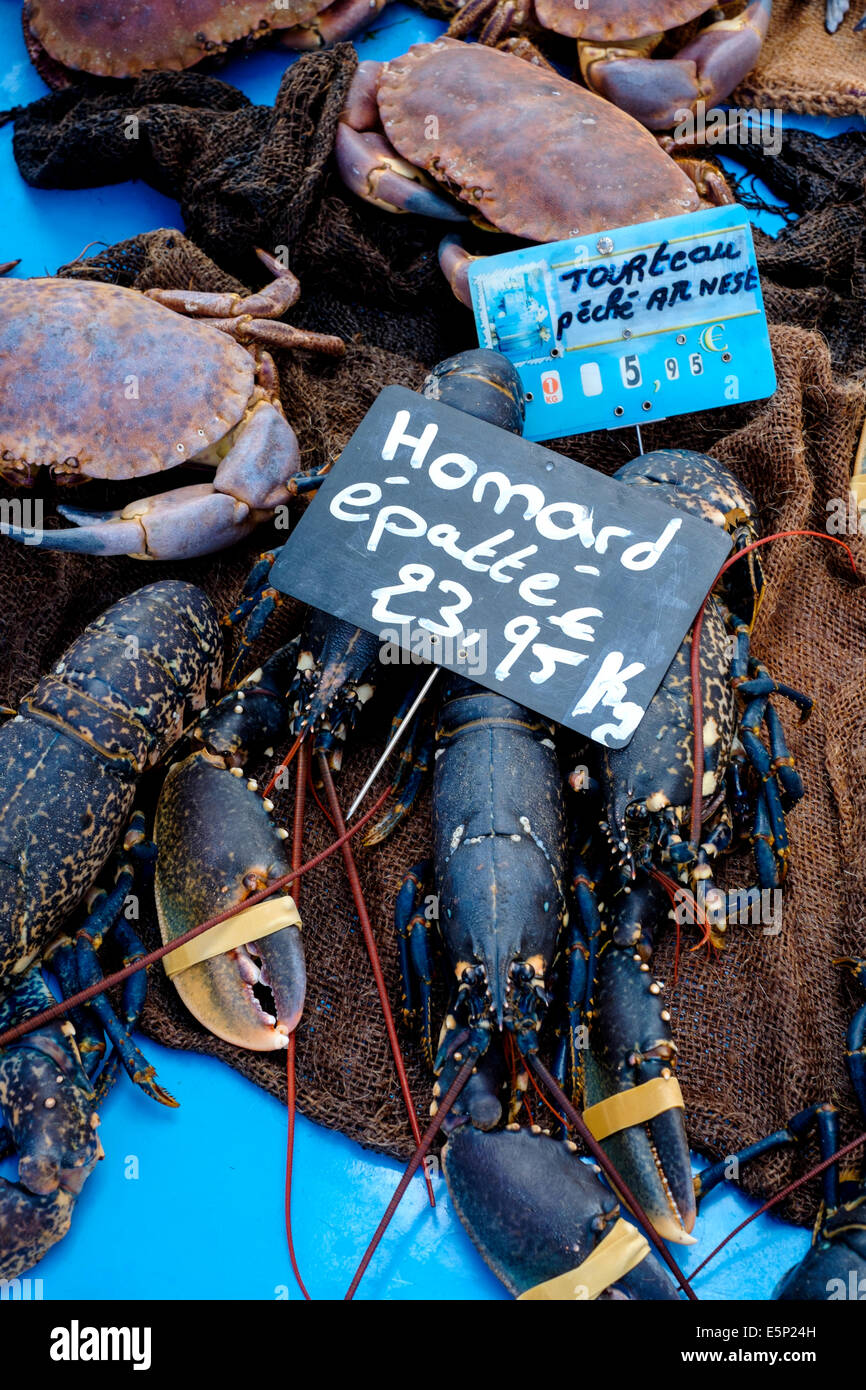 Lobster alive hires stock photography and images Alamy