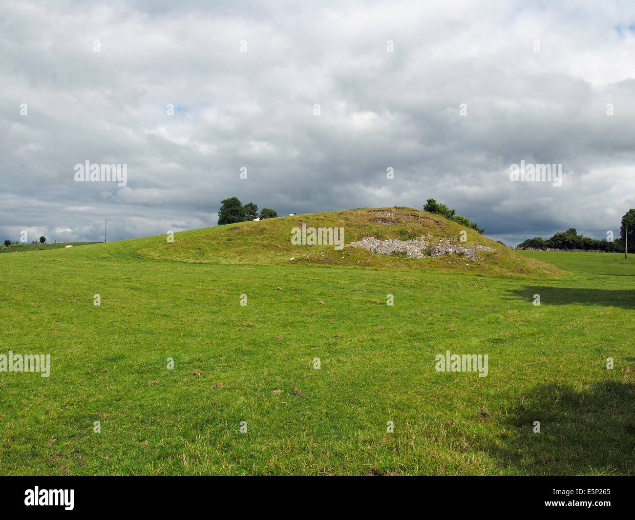 A drumlin, an elongated hill in the shape of an inverted egg is a glacial landform. This example near Dunmore, Galway, Ireland. Stock Photo