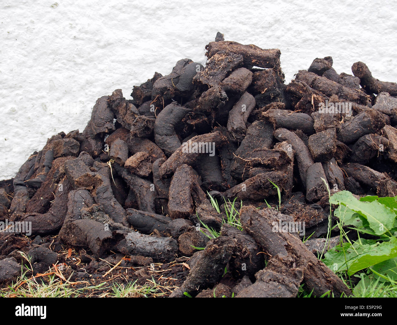 Peat turf hi-res stock photography and images - Alamy