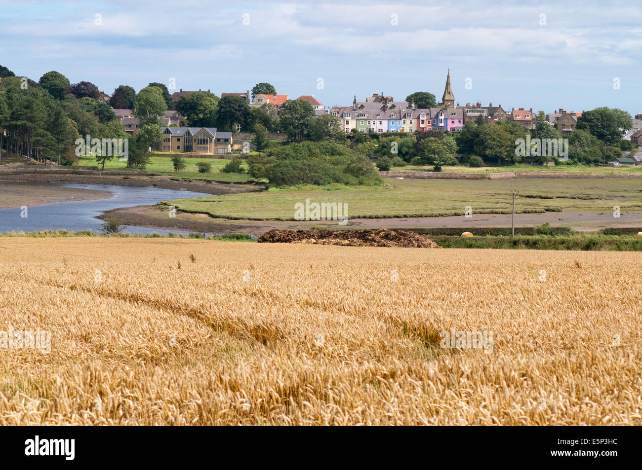 Corn field and river Aln with the village of Alnmouth in the background ...