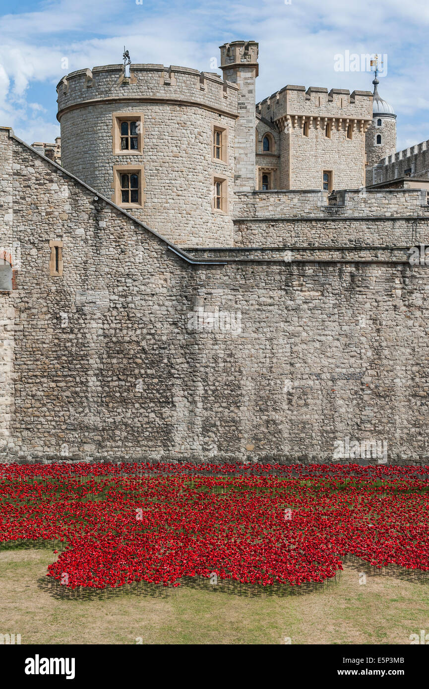 London, UK. 4th Aug, 2014. Blood Swept Lands and seas of red by Paul Cummins. Last minute preparations before the official opening tomorrow. Ceramic poppies form an artwork in the moat of the Tower of London to mark the centenary of the first world war. 04 Aug 2014. Credit:  Guy Bell/Alamy Live News Stock Photo