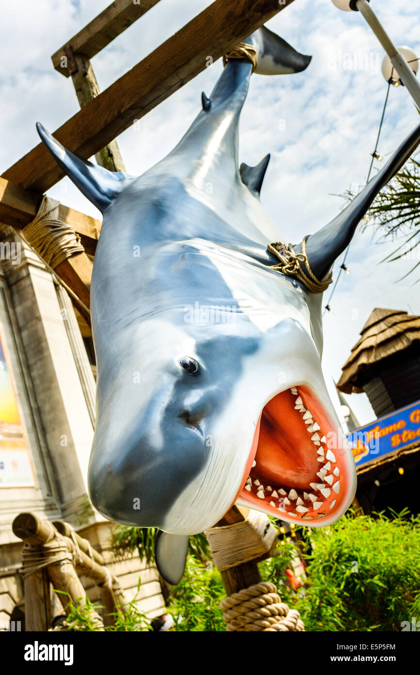 Shark Fake Id