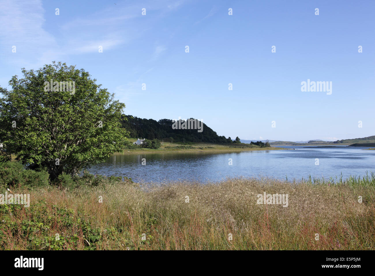 Loch Don at high tide, Isle of Mull, Scotland, July 2014 Stock Photo