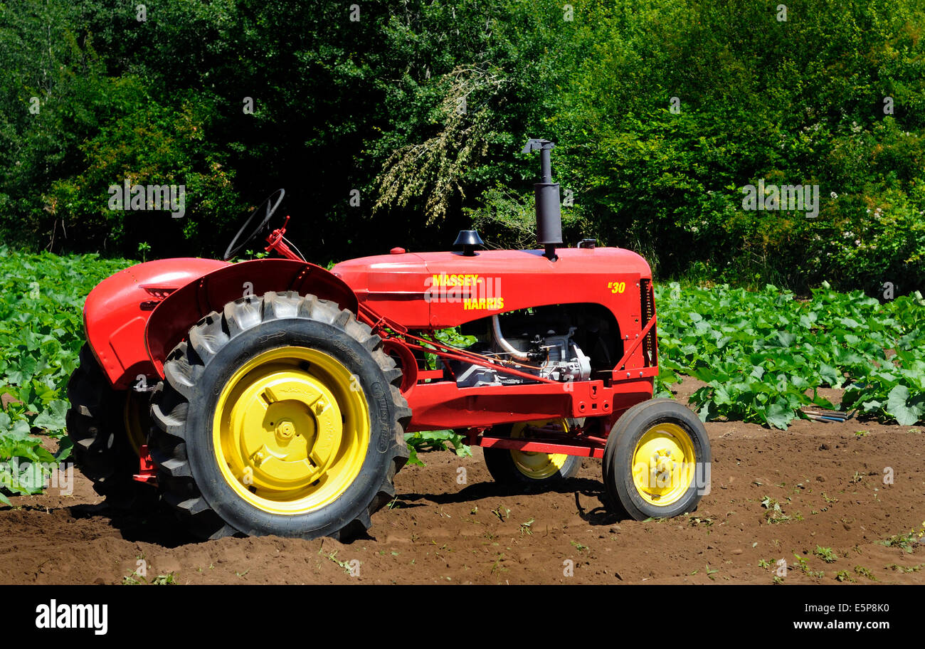 Massey harris tractor hires stock photography and images Alamy
