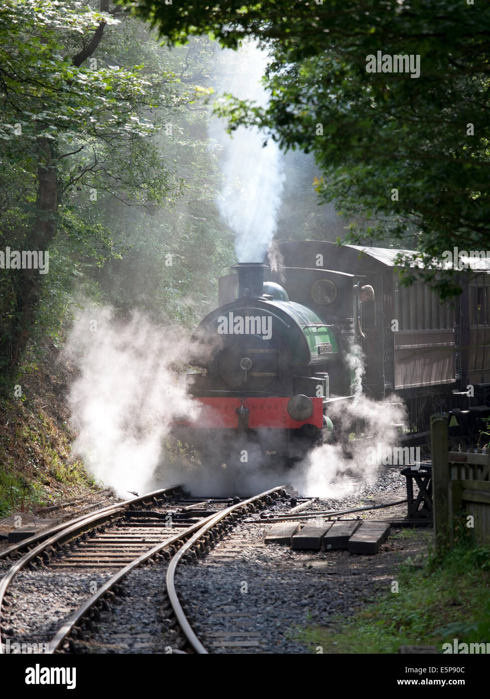 The steam engine 'Sir Cecil A Cochrane' at the Tanfield Railway, Durham. Stock Photo