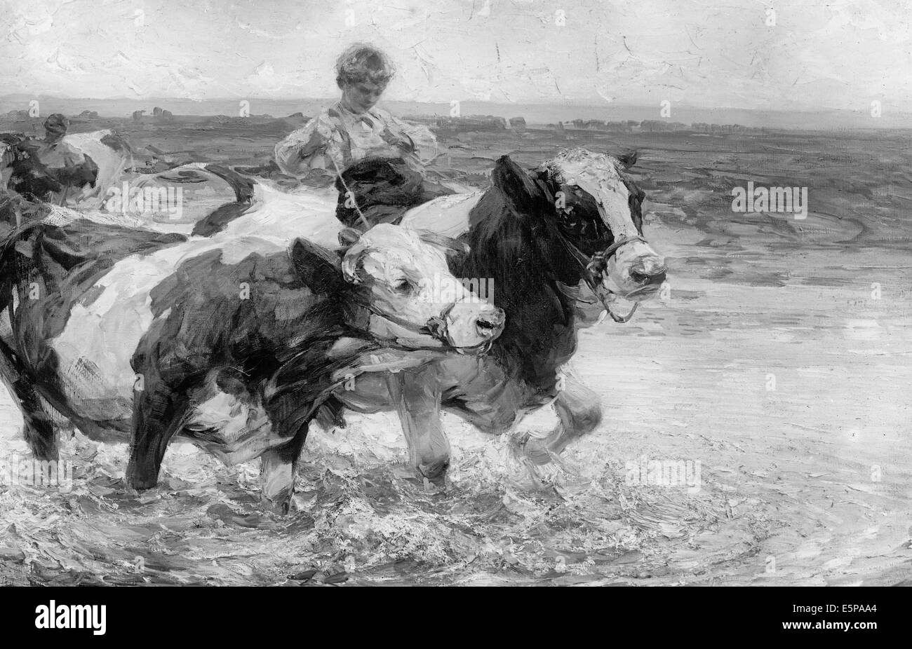 Fording High Resolution Stock Photography and Images - Alamy