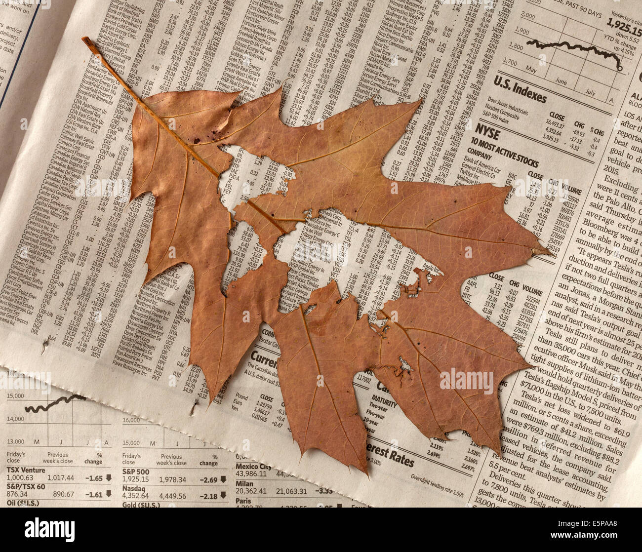 World map cut out of dry leaf , news paper business data  on background Stock Photo