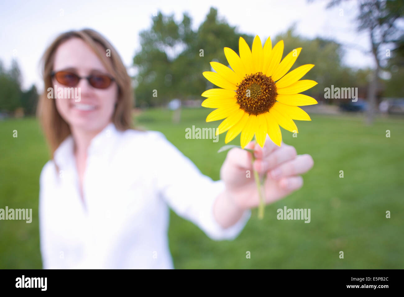 Woman holding sunflower Stock Photo