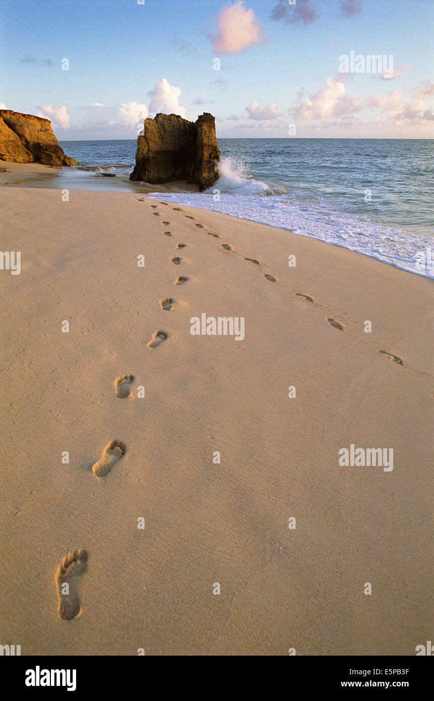Footprints on beach in Sint Maarten, Caribbean Stock Photo