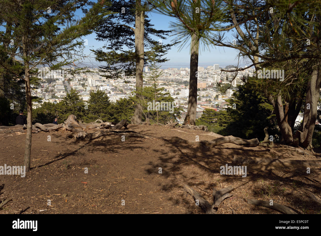 Buena vista park san francisco hires stock photography and images Alamy
