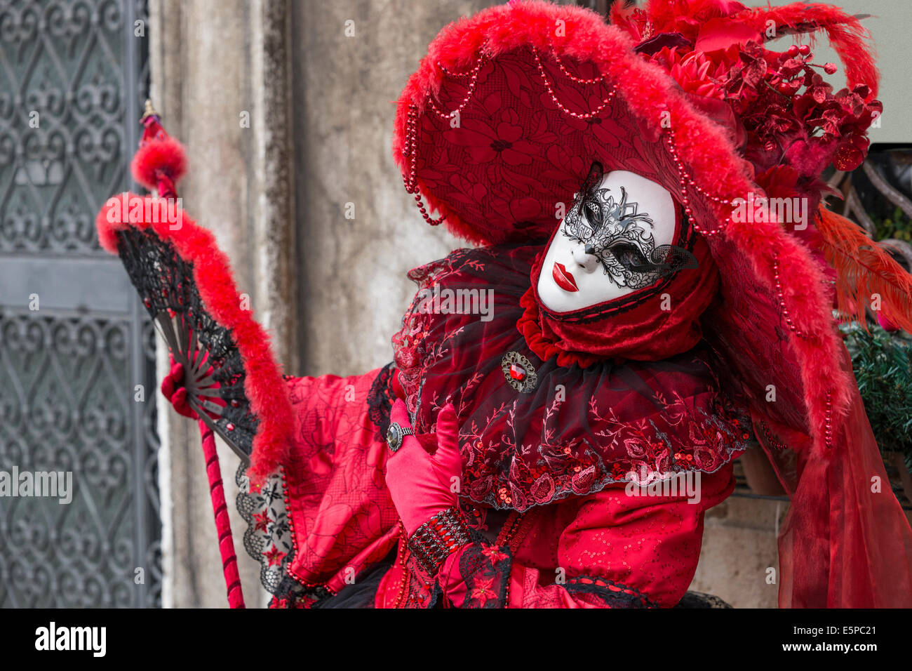 Fan Charleston  Venetian Carnival Costume