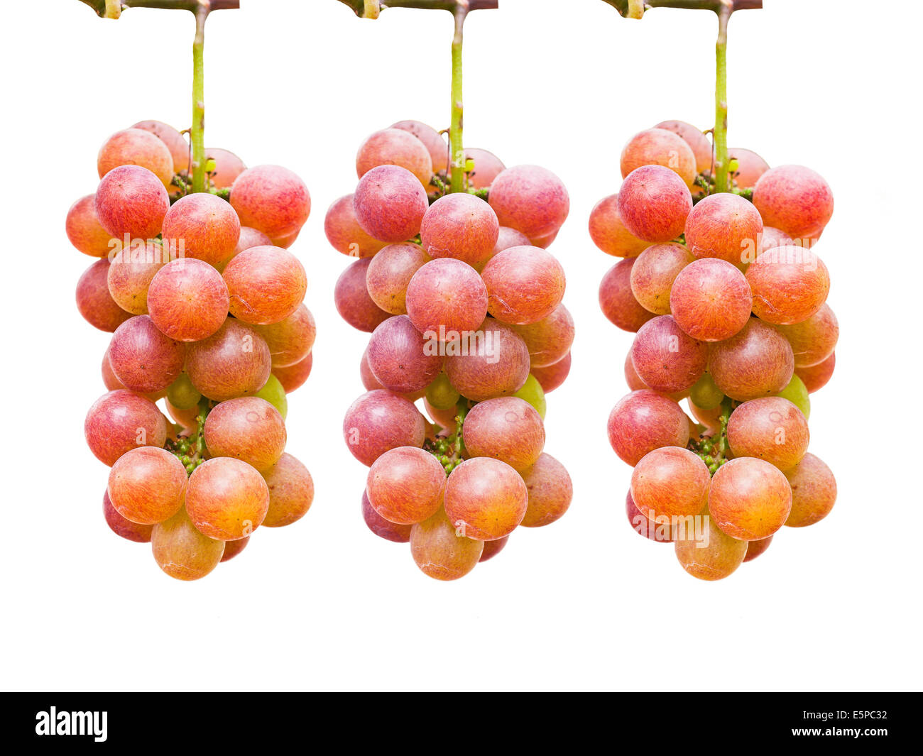 Grapes isolated and in the garden Stock Photo - Alamy