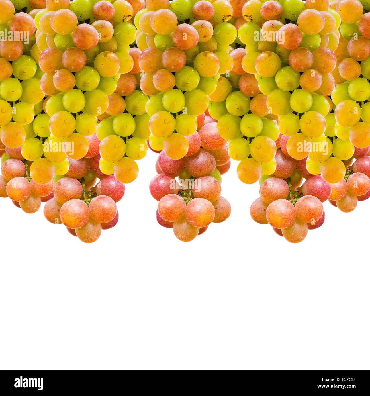 Grapes isolated and in the garden Stock Photo - Alamy