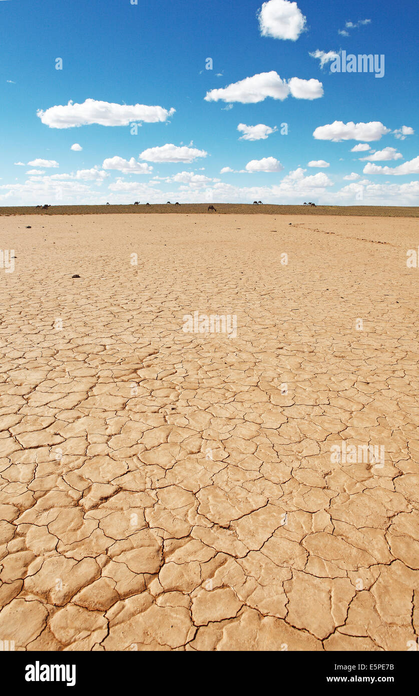 Dry soil, Gobi Desert, South Gobi, Ömnögovi Province, Mongolia Stock Photo