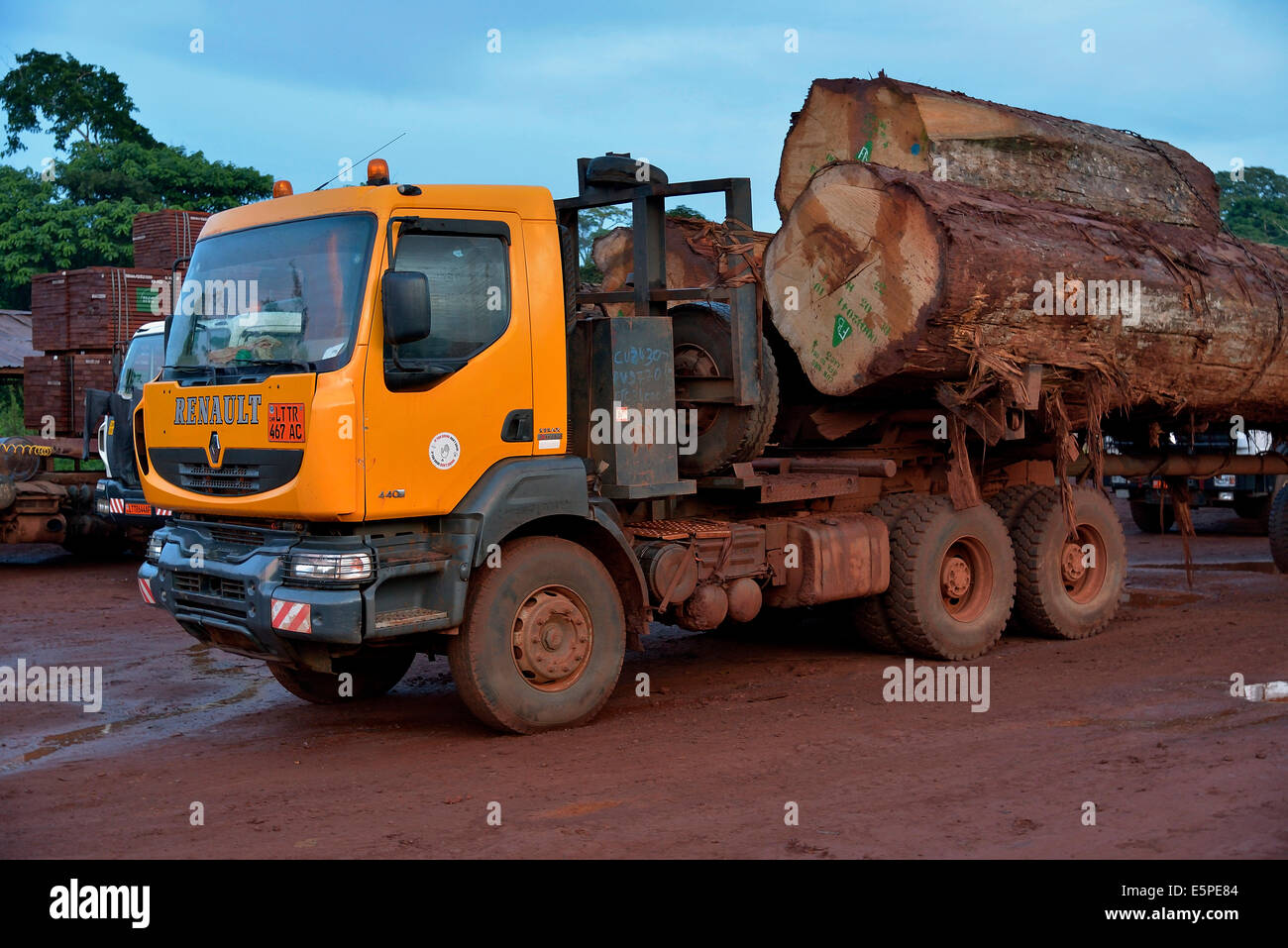 Tropical timber, logs on a truck near Gouméla, South-West Region, Cameroon Stock Photo