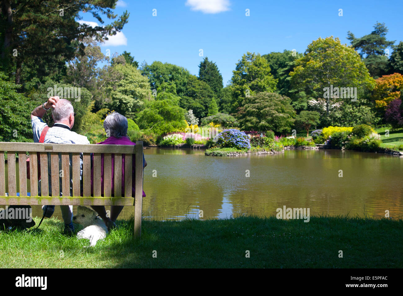 Visiting a garden at Marwood Hill Garden, Barnstaple, Devon Stock Photo