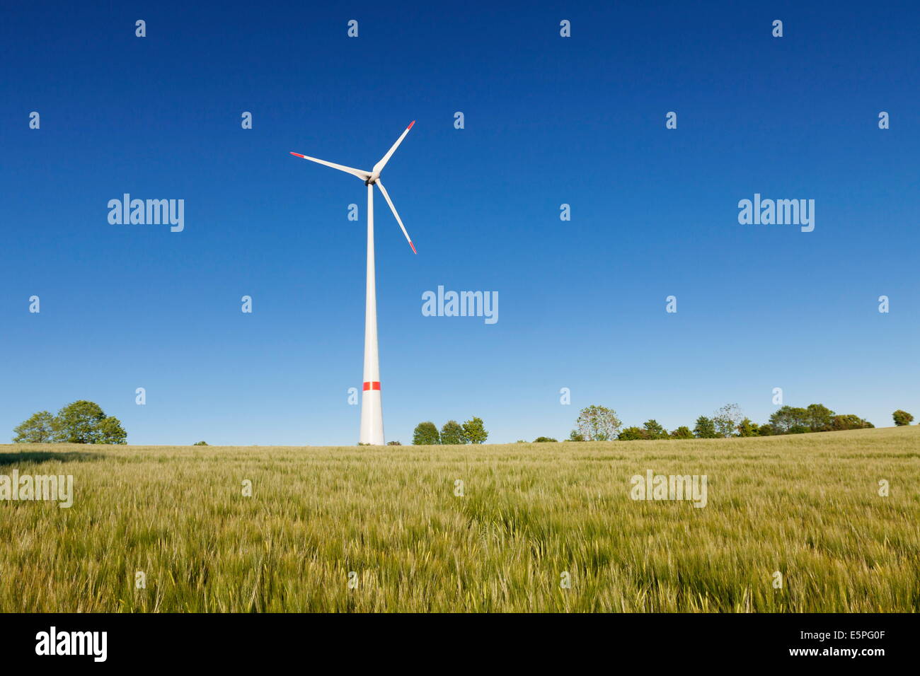 Wind turbine on a field in the evening light, Black Forest, Baden Wurttemberg, Germany, Europe Stock Photo