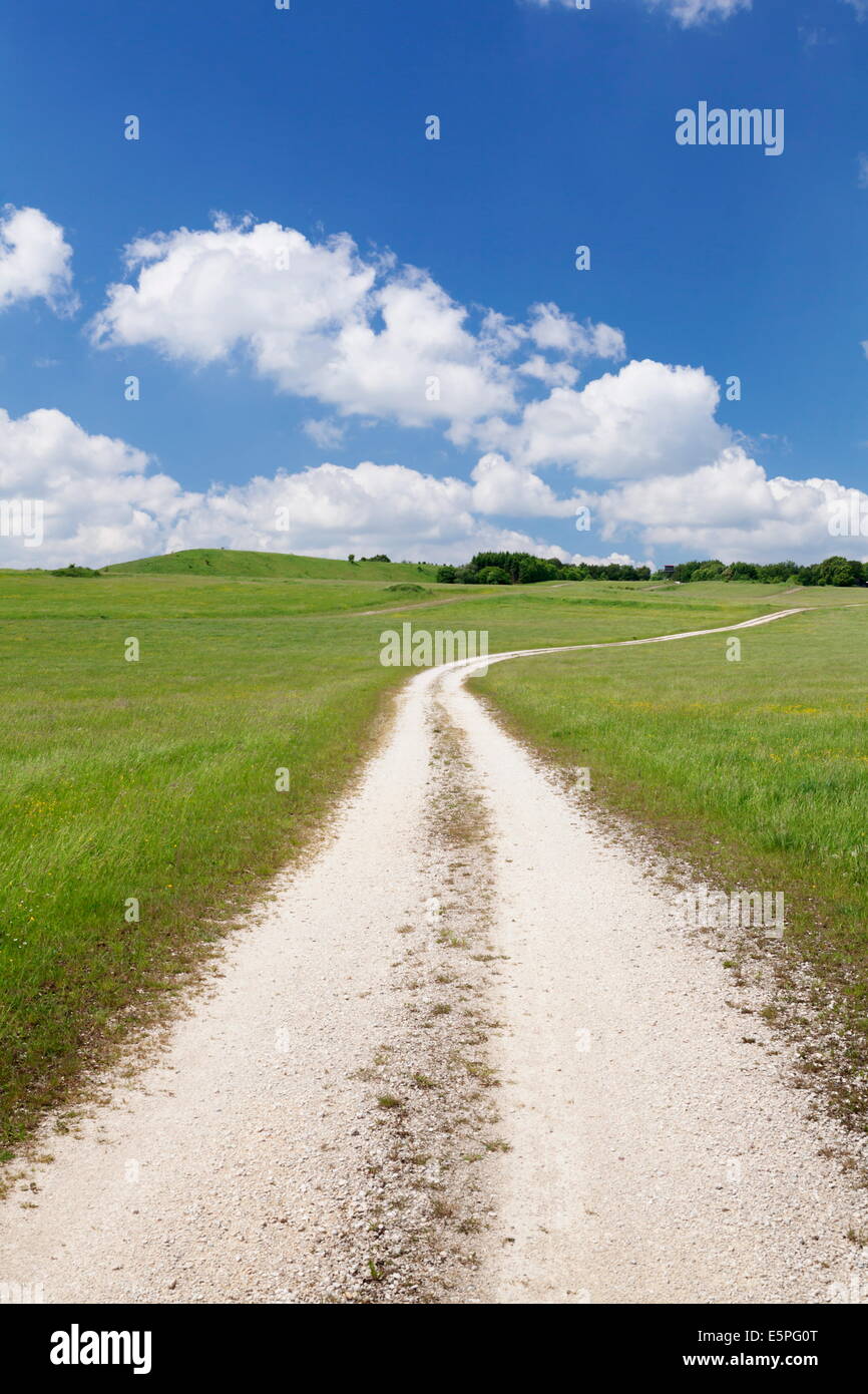 Path through a meadow with cumulus clouds, Swabian Alb, Baden Wurttemberg, Germany, Europe Stock Photo