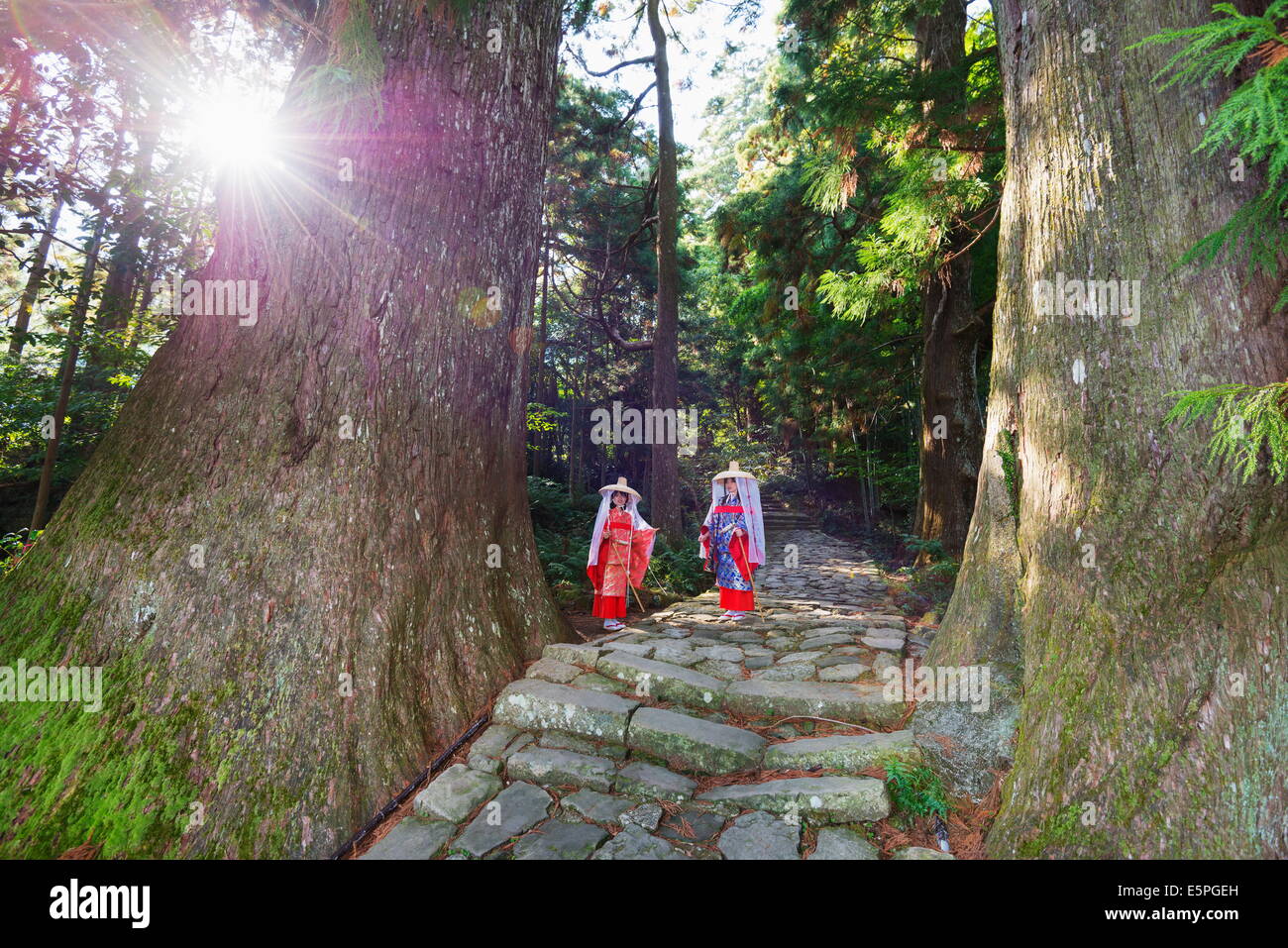 Pilgrims on Daimon-zaka Nachi tokaido pilgrimage route, UNESCO World Heritage Site, Wakayama Prefecture, Honshu, Japan, Asia Stock Photo